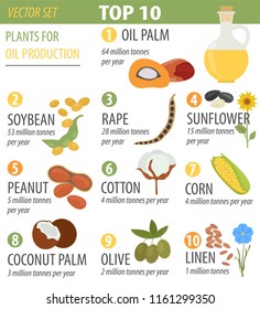 Top 10 plants for vegetable oil production infographic design. Vector illustration