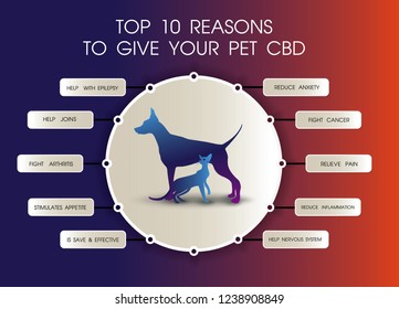 Top 10 Reasons To Give Your Pet Cbd