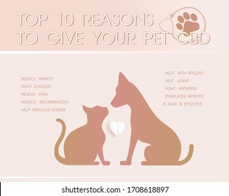 Top 10 Reasons Ti Give Your Pet Cbd Is  Healthy  Infographic