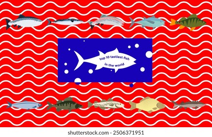 Top 10 tastiest fish in the world. Mackerel, tuna, herring, cod fish, perch, carp, zander, trout, sturgeon, salmon. Vector fish illustration on white. Eps 10. Color. Action, promotion and advertising