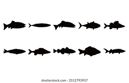 Top 10 tastiest fish in the world. Mackerel, tuna, herring, cod fish, perch, carp, zander, trout, sturgeon, salmon. Vector solid black fish illustration on white. Eps 10. Promotion and advertising