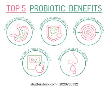 Top 5 Benefits of probiotics. Landscape poster. Medical infographic. Digestion is important. Stomach function. Editable vector illustration in modern outline style. Healthcare and scientific concept