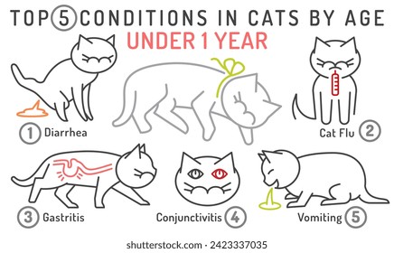 Top 5 conditions in cats by age. Under one year cat. Common diseases in kittens. Veterinarian infographics. Vector illustration isolated on a white background. Landscape poster, informative banner
