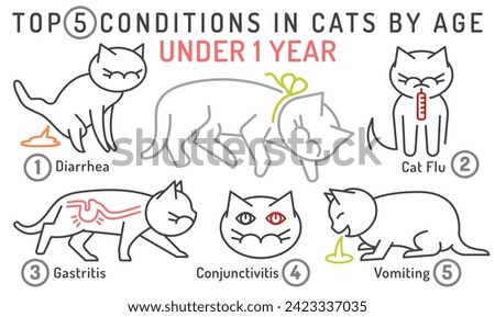 Top 5 conditions in cats by age. Under one year cat. Common diseases in kittens. Veterinarian infographics. Vector illustration isolated on a white background. Landscape poster, informative banner