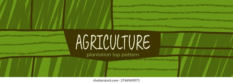 Top abstract texture for farm view vineyard and agriculture field plantation. Pattern agro mosaic for mountain soil row and grassland shape geometric. Top design aerial for farm farmland map.