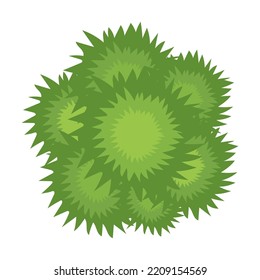 Top aerial view, green foliage, park, forest, garden plants isolated on white. Vector illustration for landscape, nature, ecology concept