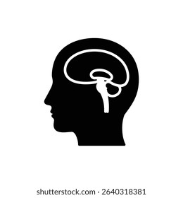 Top back view of human brain parietal lobe anatomy