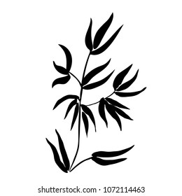 The top of the bamboo. Bamboo leaf background. Vector illustration