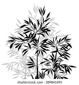 The top of the bamboo. Bamboo leaf background.  Vector illustration