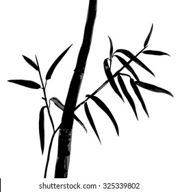 The top of the bamboo. Bamboo leaf background.  Vector illustration