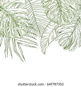Borde superior compuesto de hojas tropicales, ilustración de boceto