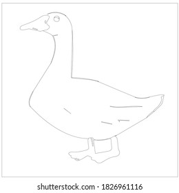Top  Cartoon Coloring Pages Your Toddler Will Love To Color