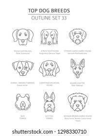 Top dog breeds. Hunting dogs set. Pet outline collection. Vector illustration