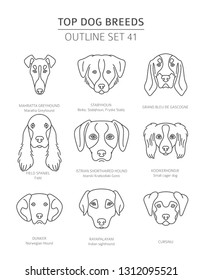 Top dog breeds. Hunting dogs set. Pet outline collection. Vector illustration