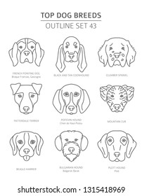 Top dog breeds. Hunting dogs set. Pet outline collection. Vector illustration