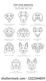 Top dog breeds. Hunting dogs set. Pet outline collection. Vector illustration