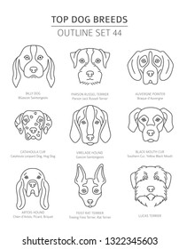 Top dog breeds. Hunting dogs set. Pet outline collection. Vector illustration