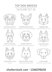 Top dog breeds. Hunting, shepherd and companion dogs set. Pet outline collection. Vector illustration