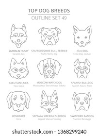 Top dog breeds. Hunting, shepherd and companion dogs set. Pet outline collection. Vector illustration