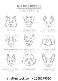 Top dog breeds. Hunting, shepherd and companion dogs set. Pet outline collection. Vector illustration