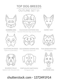 Top dog breeds. Hunting, shepherd and companion dogs set. Pet outline collection. Vector illustration