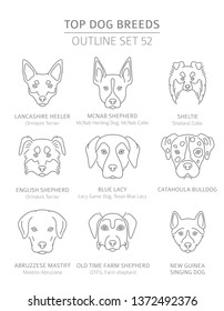Top dog breeds. Hunting, shepherd and companion dogs set. Pet outline collection. Vector illustration svg