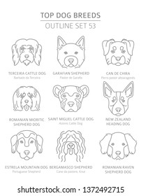 Top dog breeds. Hunting, shepherd and companion dogs set. Pet outline collection. Vector illustration