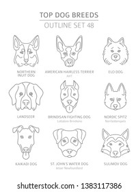 Top dog breeds. Hunting, shepherd and companion dogs set. Pet outline collection. Vector illustration