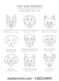 Top dog breeds. Hunting, shepherd and companion dogs set. Pet outline collection. Vector illustration