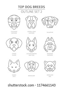 Top Dog Breeds.Pet Outline Collection. Vector Illustration