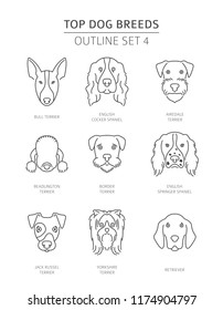 Top dog breeds.Pet outline collection. Vector illustration