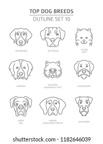 Top dog breeds. Pet outline collection. Vector illustration