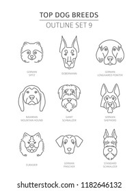 Top dog breeds. Pet outline collection. Vector illustration