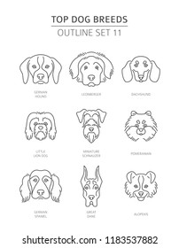 Top dog breeds. Pet outline collection. Vector illustration