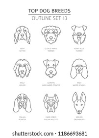 Top dog breeds. Pet outline collection. Vector illustration