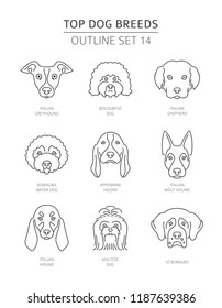 Top dog breeds. Pet outline collection. Vector illustration