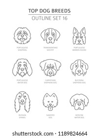 Top dog breeds. Pet outline collection. Vector illustration svg