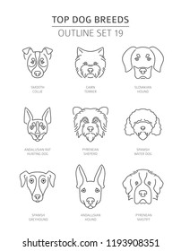 Top dog breeds. Pet outline collection. Vector illustration