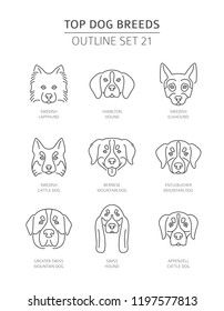 Top dog breeds. Pet outline collection. Vector illustration