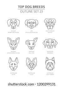 Top dog breeds. Pet outline collection. Vector illustration