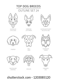 Top dog breeds. Pet outline collection. Vector illustration