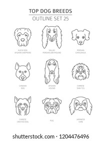 Top dog breeds. Pet outline collection. Vector illustration