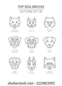 Top dog breeds. Pet outline collection. Vector illustration