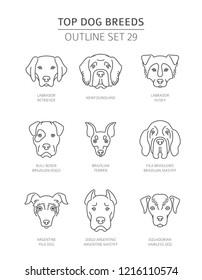 Top dog breeds. Pet outline collection. Vector illustration