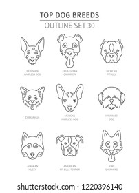 Las razas de los mejores perros. Colección de esquema de mascotas. Ilustración del vector