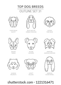 Top dog breeds. Pet outline collection. Vector illustration