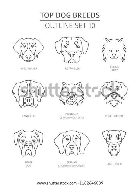 Top Dog Breeds Pet Outline Collection Stock Vector Royalty Free