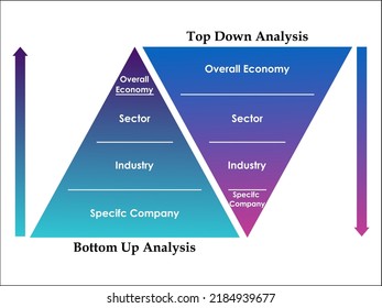 top down fundamental analysis and bottom up fundamental analysis In a triangular Infographic template