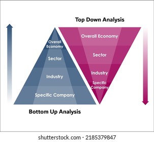 top down fundamental analysis and bottom up fundamental analysis In a triangular Infographic template