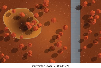 Top Down Landscape Game Map Background Flat Vector Forest Lake Terrain Design